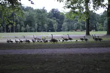 _MG_7931.webp