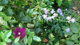 DSC_0679.webp