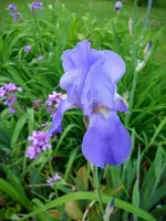 DSCI0247.webp