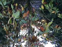 IMG_2570.webp