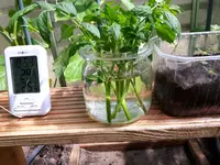 20170601_114444.webp