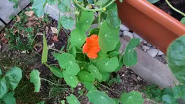 20170530_203329.webp