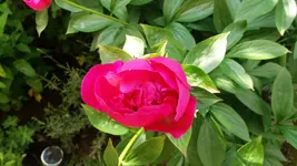 11_20170601_164510_resized.webp