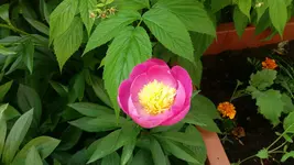 12_20170601_164505_resized.webp