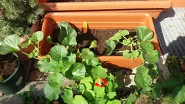 05_20170601_164556_resized.webp