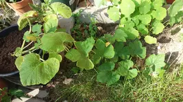 04_20170601_164602_resized.webp