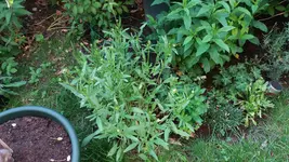 14_20170601_164456_resized.webp