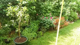 02_20170601_164630_resized.webp