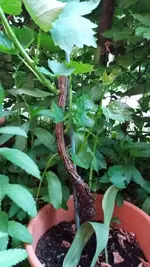 20170530_203456.webp