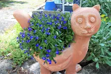 100_4090.JPG
