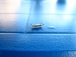 IMG_7805.JPG