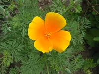 IMG_7817.webp