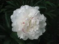 IMG_7814.webp