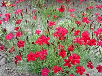 IMG_7806.webp