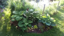 IMG-20170601-WA0020.webp