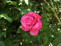 BILD6789.webp