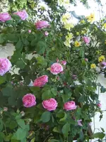 BILD6778.webp