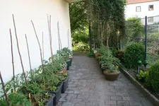Juni0917.webp
