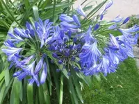 Bilda025.webp
