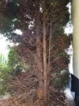 20170602_084835.jpg
