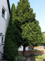 20170602_084800.jpg