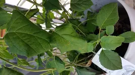 20170602_114536.webp