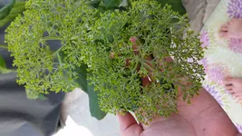20170602_114517.webp