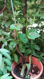 01_20170602_135956_resized.webp