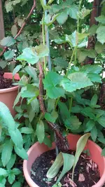 02_20170602_135951_resized.webp