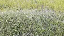 20170602_212358.jpg