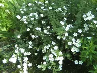 BILD6695.webp