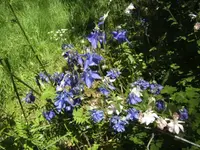 BILD6697.webp