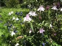 BILD6698.webp