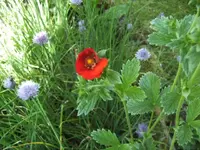 BILD6702.webp