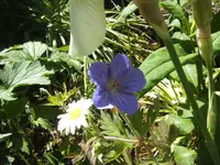 BILD6817.webp