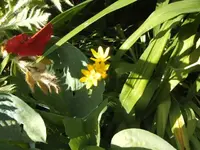 BILD6766.webp
