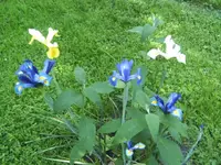 BILD6808.webp