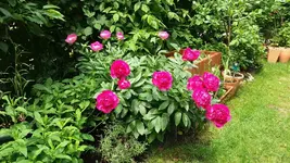 09_20170602_140016_resized.webp