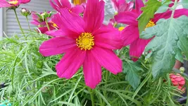 14_20170602_135634_resized.webp