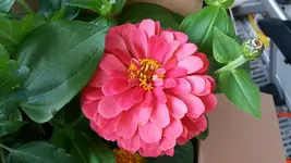 12_20170602_135643_resized.webp