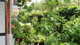 01_20170602_135718_resized.webp