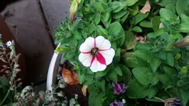 17_20170602_133828_resized.webp