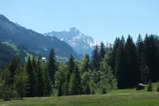DSCF8984.JPG