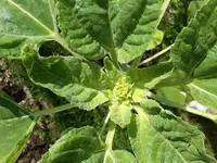 20170601_171425.webp