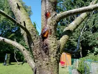 IMG_20170603_103704.webp