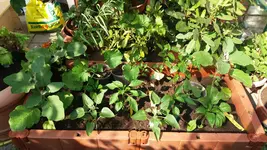 03_20170601_164616_resized.webp