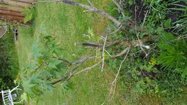 20170530_062827.webp