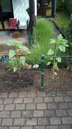 100000002.webp