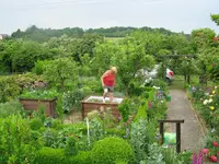 IMG_5506.webp