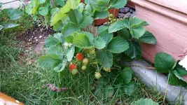 01_20170603_201624_resized.webp